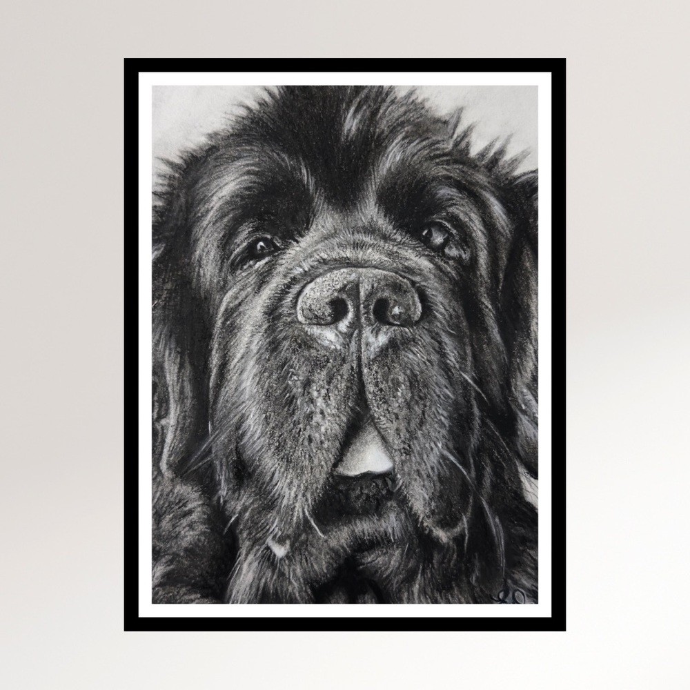 Custom Charcoal Pet Portraits